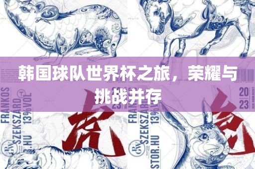 韩国球队世界杯之旅，荣耀与挑战并存