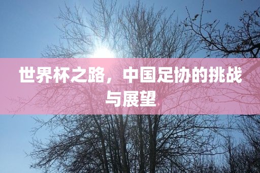 世界杯之路，中国足协的挑战与展望