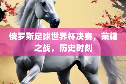 俄罗斯足球世界杯决赛，荣耀之战，历史时刻