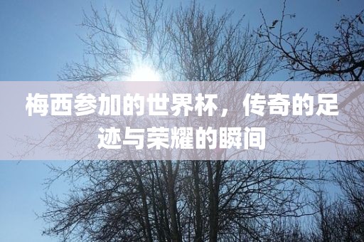 梅西参加的世界杯，传奇的足迹与荣耀的瞬间