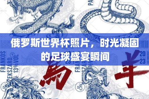 俄罗斯世界杯照片，时光凝固的足球盛宴瞬间