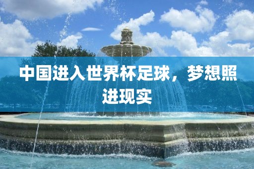 中国进入世界杯足球，梦想照进现实