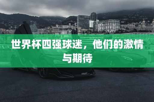 世界杯四强球迷，他们的激情与期待
