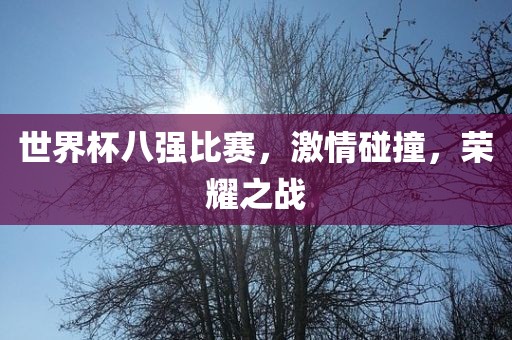 世界杯八强比赛，激情碰撞，荣耀之战