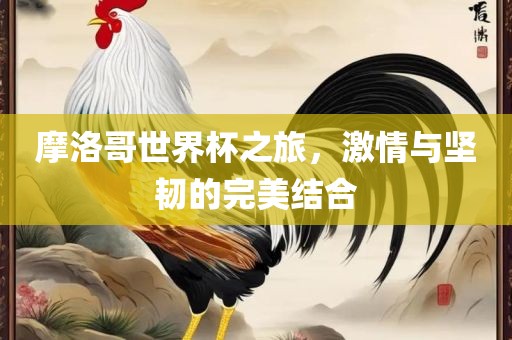 摩洛哥世界杯之旅，激情与坚韧的完美结合