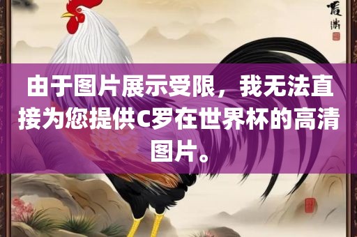 由于图片展示受限，我无法直接为您提供C罗在世界杯的高清图片。