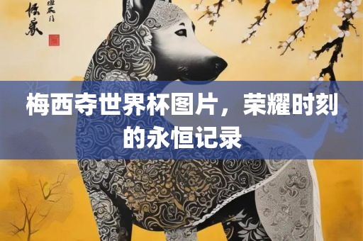 梅西夺世界杯图片，荣耀时刻的永恒记录