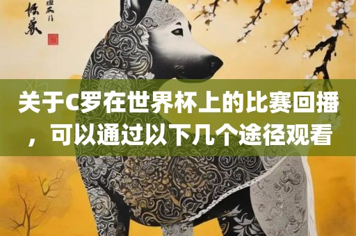 关于C罗在世界杯上的比赛回播，可以通过以下几个途径观看