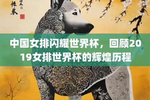 中国女排闪耀世界杯，回顾2019女排世界杯的辉煌历程