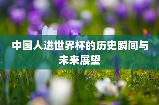 中国人进世界杯的历史瞬间与未来展望