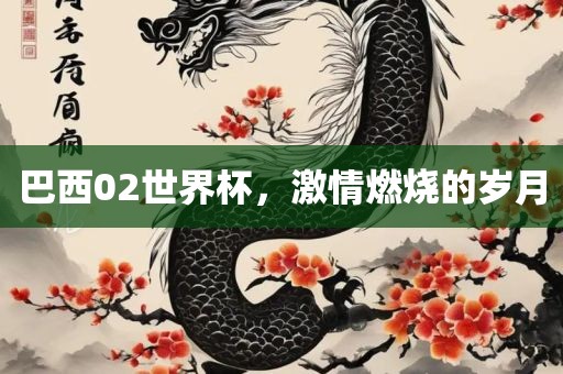 巴西02世界杯，激情燃烧的岁月