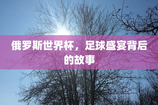 俄罗斯世界杯，足球盛宴背后的故事