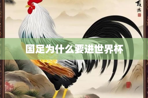 国足为什么要进世界杯