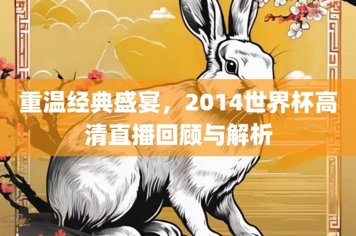 重温经典盛宴，2014世界杯高清直播回顾与解析