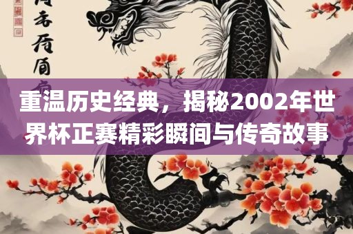重温历史经典，揭秘2002年世界杯正赛精彩瞬间与传奇故事