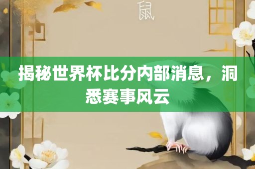 揭秘世界杯比分内部消息，洞悉赛事风云