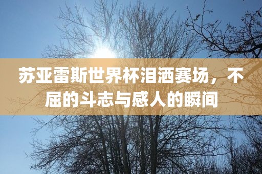 苏亚雷斯世界杯泪洒赛场，不屈的斗志与感人的瞬间
