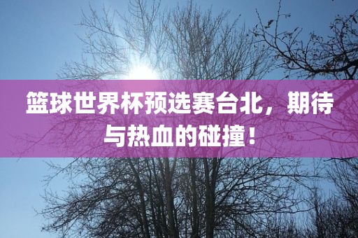 篮球世界杯预选赛台北，期待与热血的碰撞！