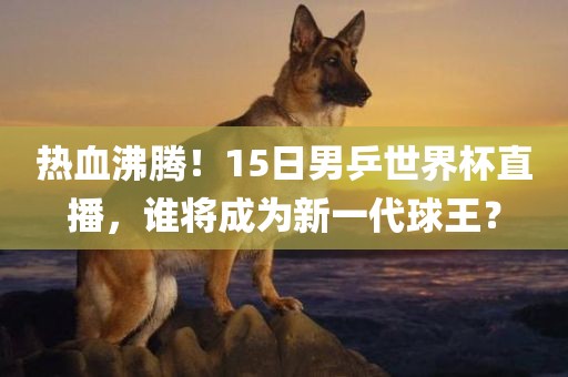 热血沸腾！15日男乒世界杯直播，谁将成为新一代球王？