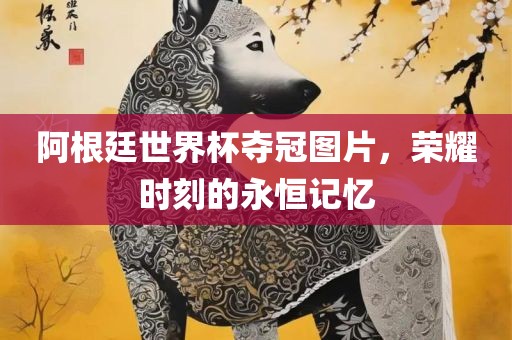阿根廷世界杯夺冠图片，荣耀时刻的永恒记忆