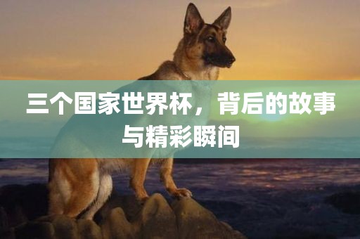 三个国家世界杯，背后的故事与精彩瞬间