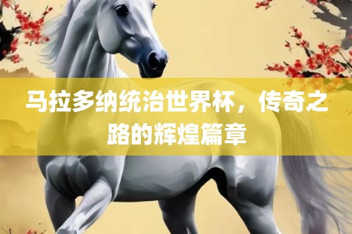 马拉多纳统治世界杯，传奇之路的辉煌篇章