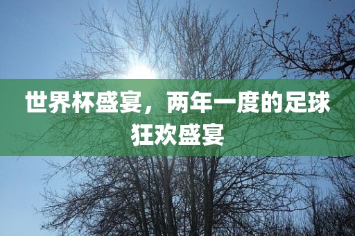 世界杯盛宴，两年一度的足球狂欢盛宴