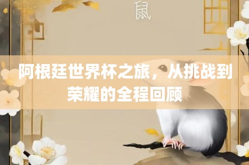 阿根廷世界杯之旅，从挑战到荣耀的全程回顾