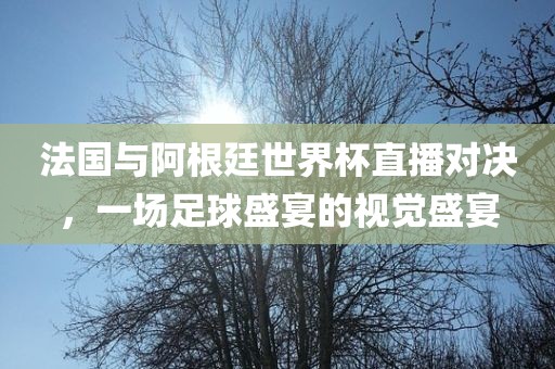 法国与阿根廷世界杯直播对决，一场足球盛宴的视觉盛宴