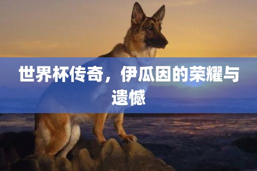 世界杯传奇，伊瓜因的荣耀与遗憾