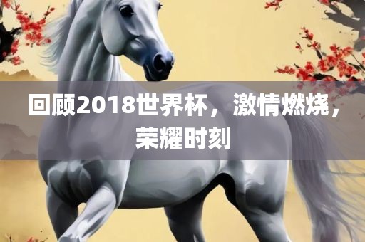 回顾2018世界杯，激情燃烧，荣耀时刻
