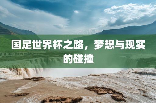 国足世界杯之路，梦想与现实的碰撞