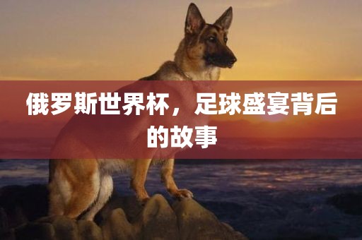俄罗斯世界杯，足球盛宴背后的故事