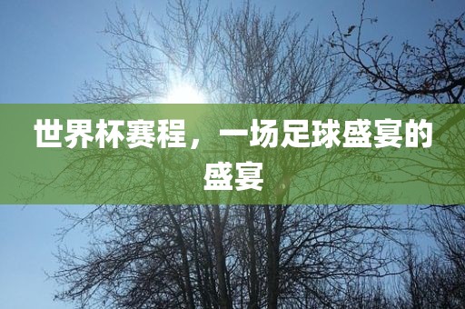 世界杯赛程，一场足球盛宴的盛宴