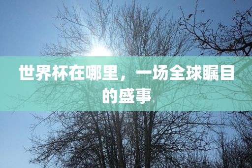 世界杯在哪里，一场全球瞩目的盛事