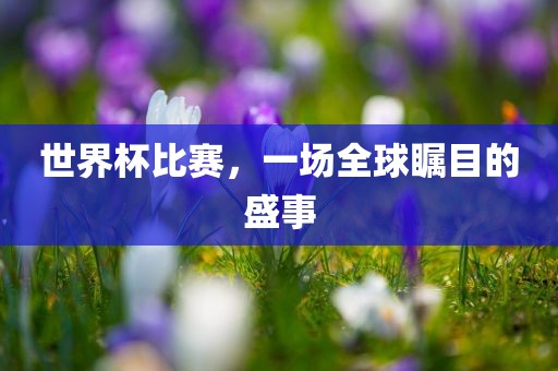 世界杯比赛，一场全球瞩目的盛事
