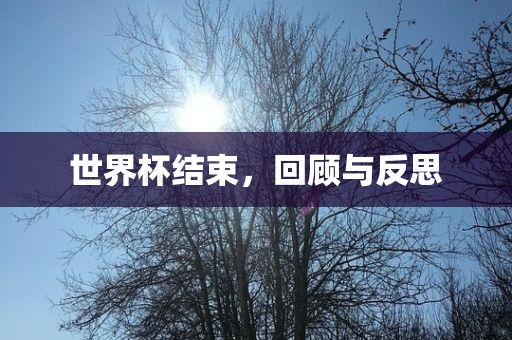 世界杯结束，回顾与反思