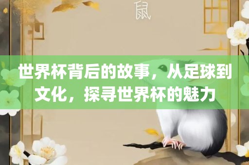 世界杯背后的故事，从足球到文化，探寻世界杯的魅力