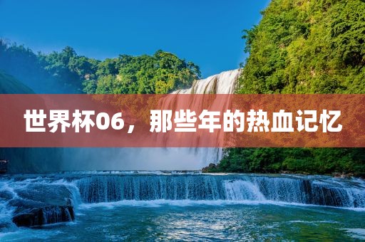 世界杯06，那些年的热血记忆