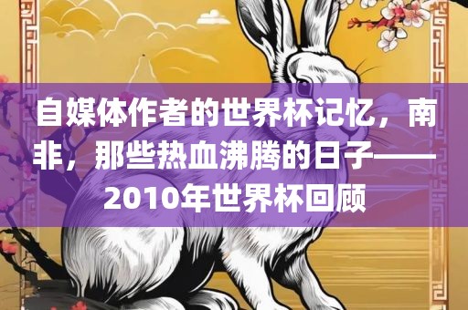 自媒体作者的世界杯记忆，南非，那些热血沸腾的日子——2010年世界杯回顾