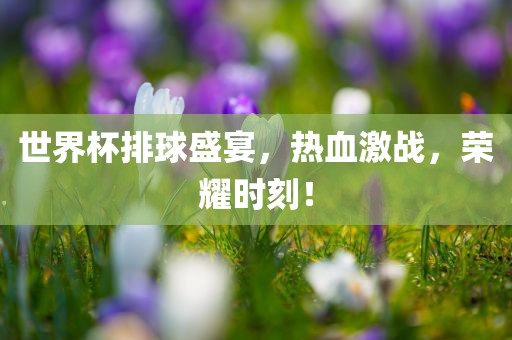 世界杯排球盛宴，热血激战，荣耀时刻！
