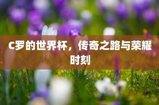C罗的世界杯，传奇之路与荣耀时刻