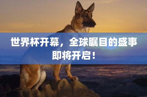 世界杯开幕，全球瞩目的盛事即将开启！