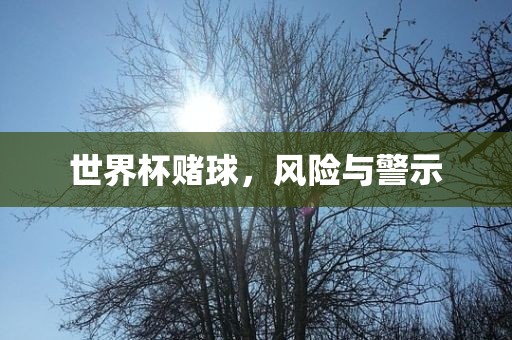 世界杯赌球，风险与警示