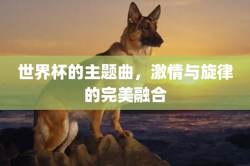 世界杯的主题曲，激情与旋律的完美融合