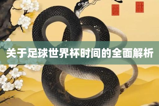 关于足球世界杯时间的全面解析