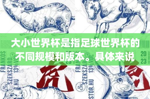 大小世界杯是指足球世界杯的不同规模和版本。具体来说
