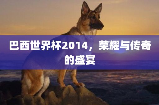 巴西世界杯2014，荣耀与传奇的盛宴