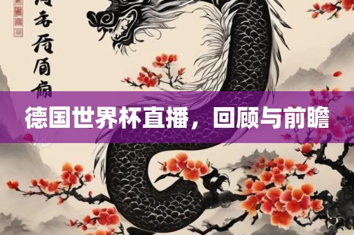德国世界杯直播，回顾与前瞻