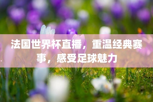 法国世界杯直播，重温经典赛事，感受足球魅力